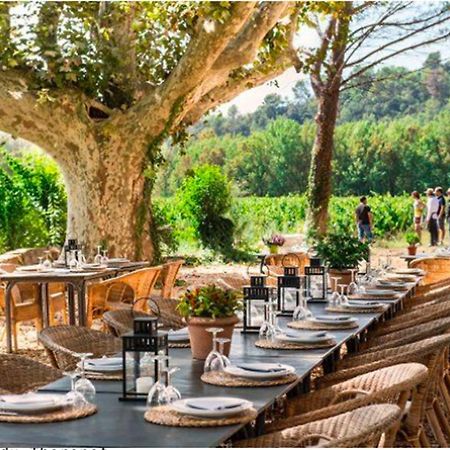 Domaine Regis Freres Acomodação com café da manhã Vidauban Exterior foto